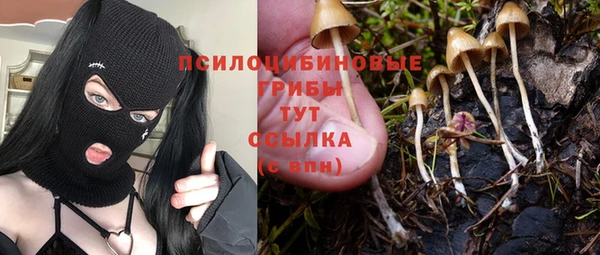 каннабис Абаза