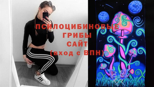 a pvp Абинск