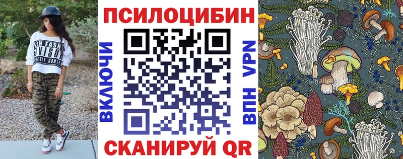 Галлюциногенные грибы Psilocybine cubensis Ермолино